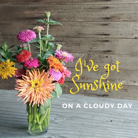 Meet your Posher, Karla - Picture 5 of 11